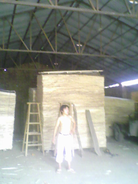 ��ľ���N���eƤ