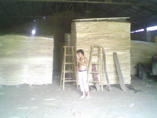 ��ľ���N���eƤ