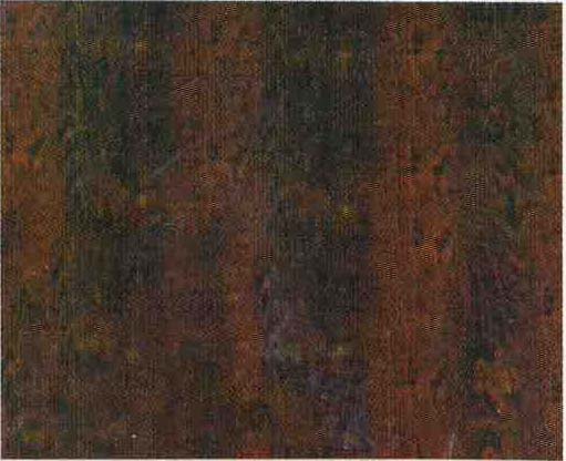 ���z�ϰ��Ԕ����B