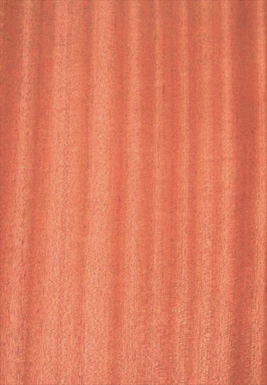 ����-ɳ�����N����Ԕ����B