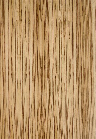 ����-���R�N����Ԕ����B