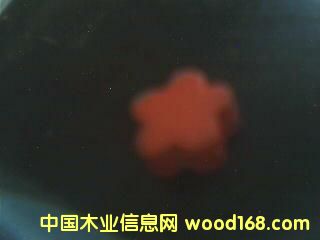 ľ�ǵ�Ԕ����B