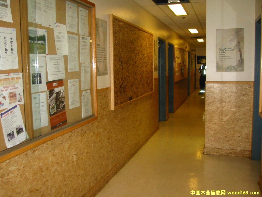 �����ٻ���-���b��ľ���бP��Ԕ����B