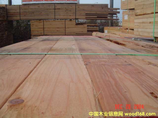 �r�����,���|����ľ��Ԕ����B