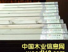 ����ľ��Ԕ����B