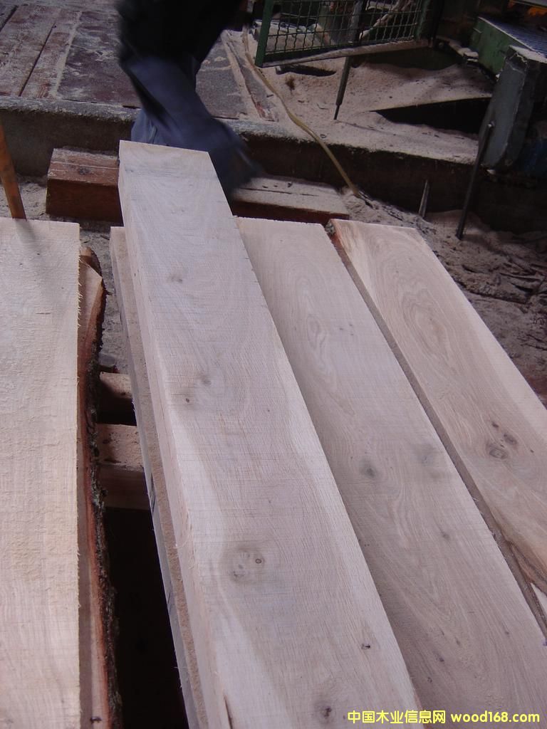 ��ĵ�Ԕ����B