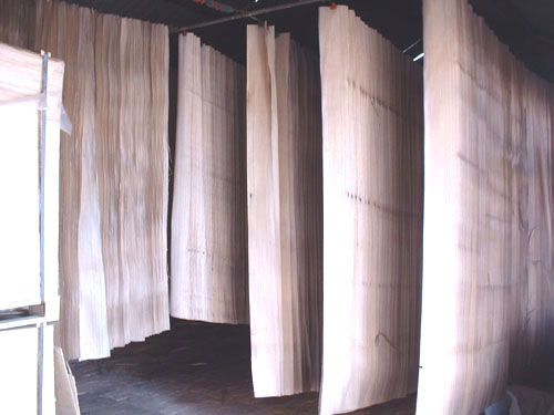 ͩľƤ��Ԕ����B