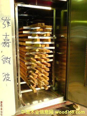 �c���鿴����΢��ľ�ĸ���G�Ŵ�DƬ