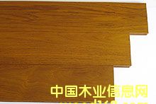 ��ľ�ذ��Ԕ����B