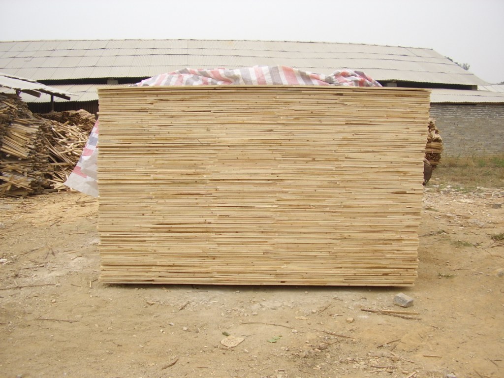 ��ľ�����Ԕ����B