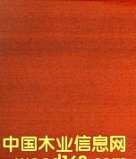 �F����/�t̴(MACARANDUBA)��Ԕ����B