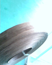 ľƤ��߅�l��Ԕ����B