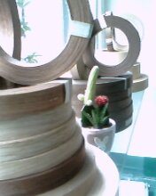 ľƤ��߅�l��Ԕ����B