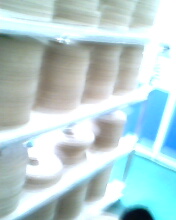 ľƤ��߅�l��Ԕ����B