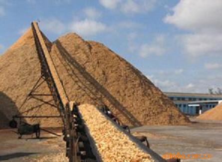 ��ľƬ��Ԕ��(x��)��B