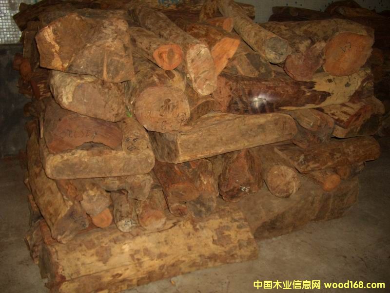 ԭľ��Ԕ����B