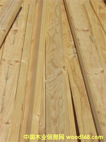 ����ݗ���ɰ�ĵ�Ԕ����B