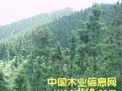 ɼľ����һ�ǵ�Ԕ����B