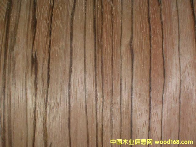 �c���鿴Zebra wood�Ŵ�DƬ