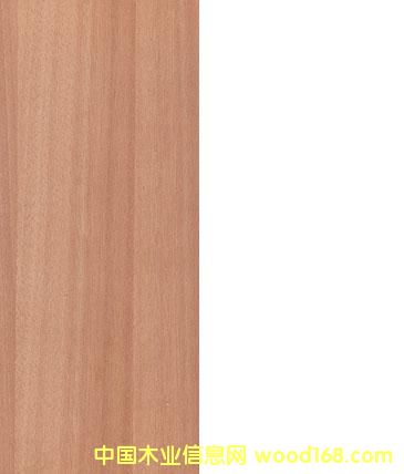 �c���鿴Mahogany�Ŵ�DƬ