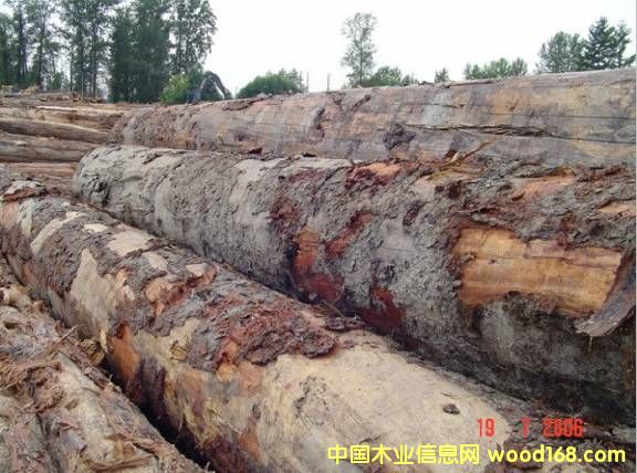 ���ô���ɼ��Ԕ����B