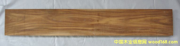 ��˼ľ��Ԕ����B