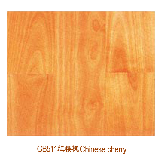 GB511 �t����