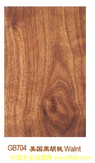 �����ں���