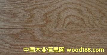 �c(di��n)���鿴��ľ�Ŵ�DƬ