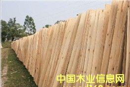 ��ľ�ΰ��Ԕ����B