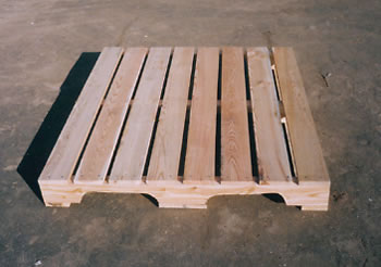 ���������ڿմ�����ľ�бP��Ԕ��(x��)��B