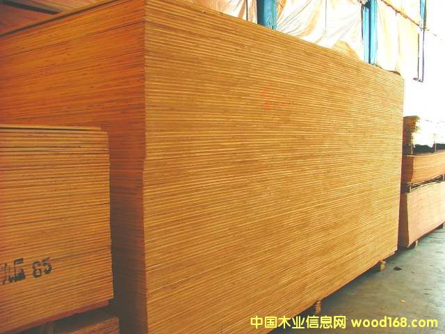 ��ľ����ľ���z�ϰ塢��(x��)ľ����