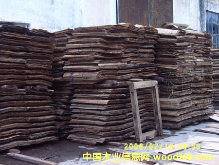 Ƥ�ӵ�Ԕ��(x��)��B