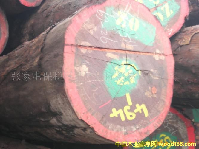 �M��ľ�ĵ�Ԕ����B