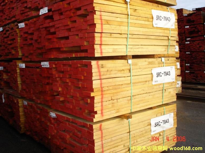 �S�ص�Ԕ����B