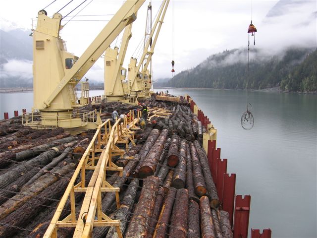 �c���鿴���ô�ԭľ�Ŵ�DƬ