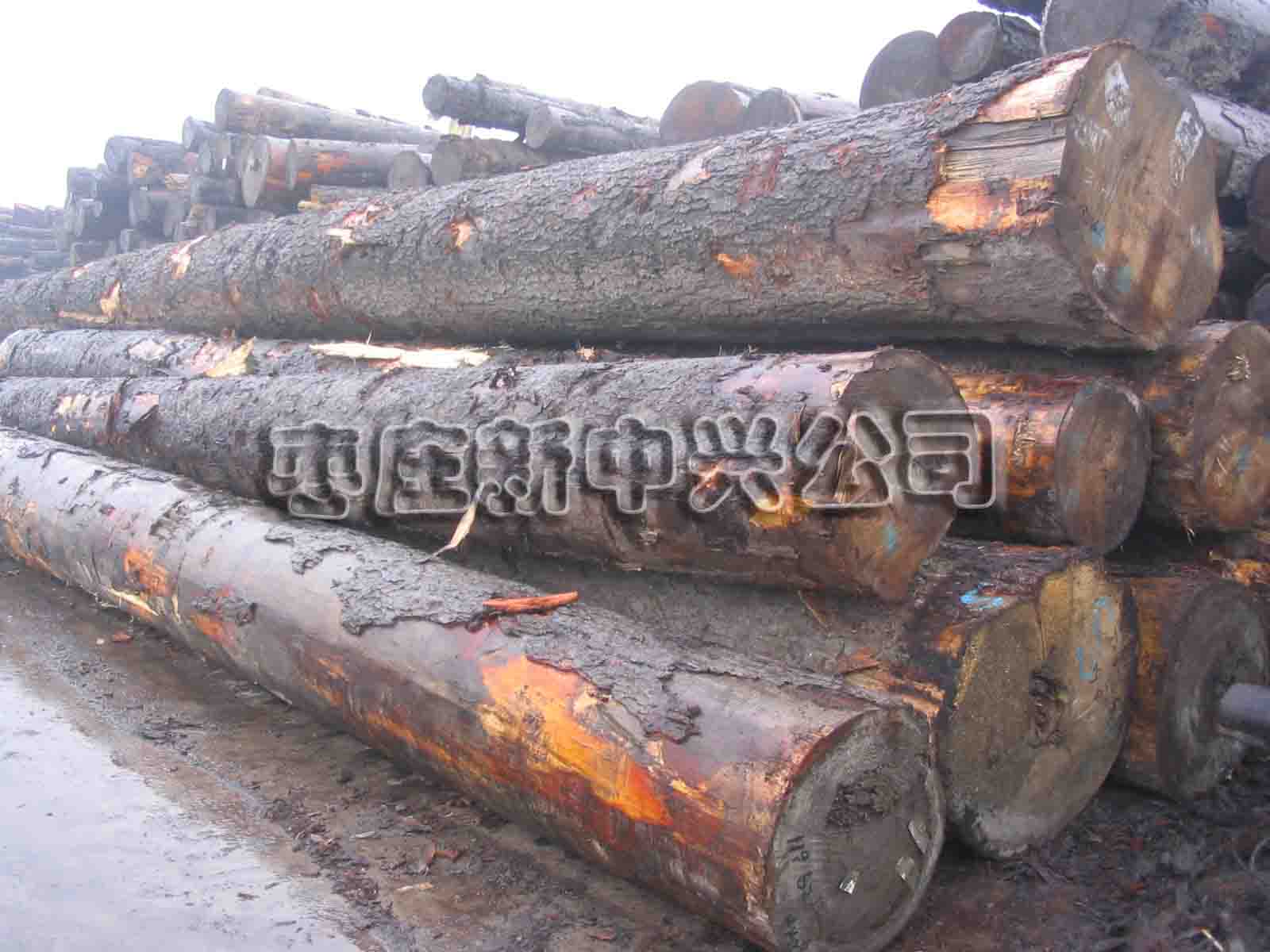 �c���鿴��ɼ�Ŵ�DƬ