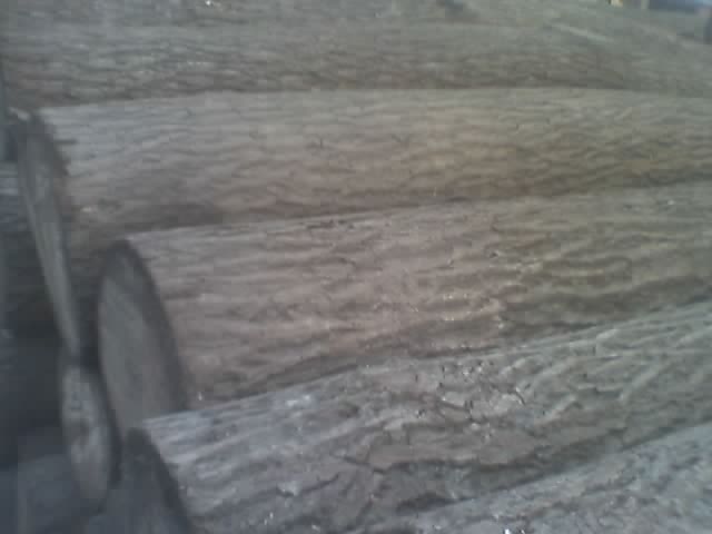 �ľA����Ԕ����B