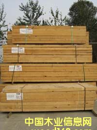 ���ô��M���Fɼ��Ԕ����B