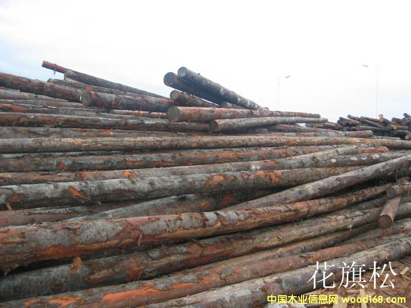 ������ԭľ��Ԕ��(x��)��B