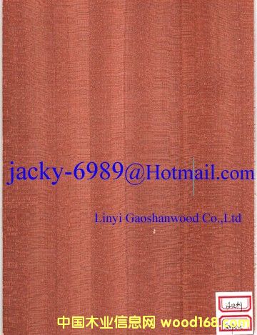 ɳؐ���N����Ԕ����B