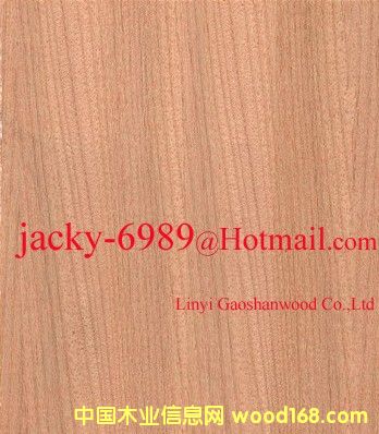 ��Ȼ̩���N����Ԕ����B