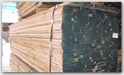 �t��Ӣ����:Red Oak��Ԕ����B