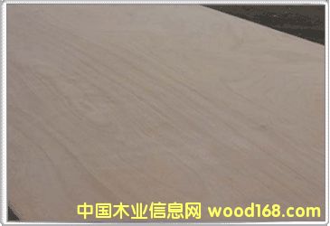 ��ľ�����Ԕ����B