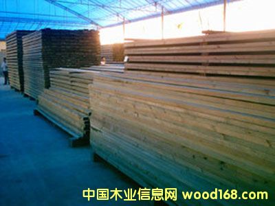 ����ľ��ĵ�Ԕ����B