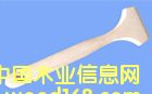 ˢ����Ԕ����B
