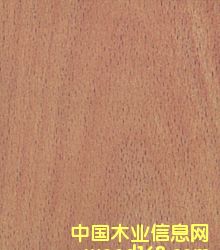 ��ľ��Ƥ��Ԕ����B