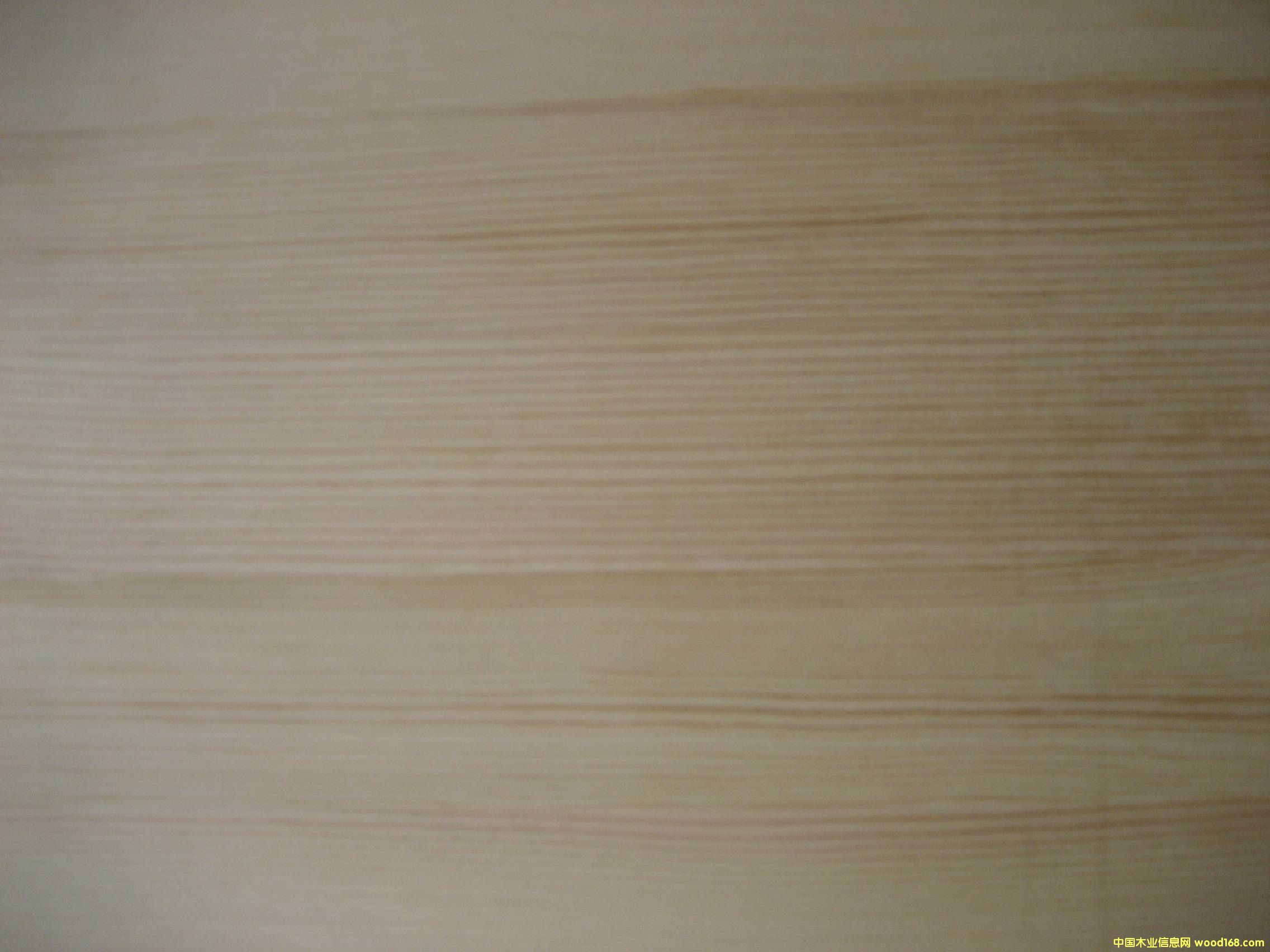 �o��ɼľ���ɲĵ�Ԕ����B