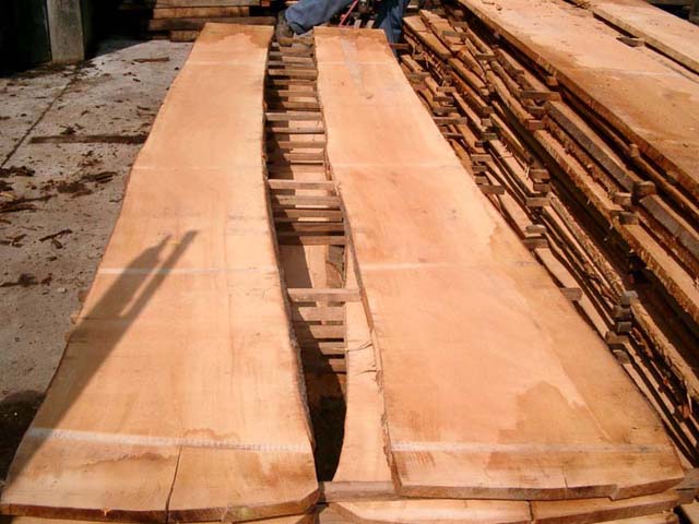 beech lumber��Ԕ����B