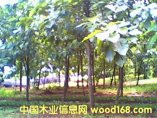 �c(di��n)���鿴�A����ľ�֣�2���(sh��)�g���Ŵ�DƬ